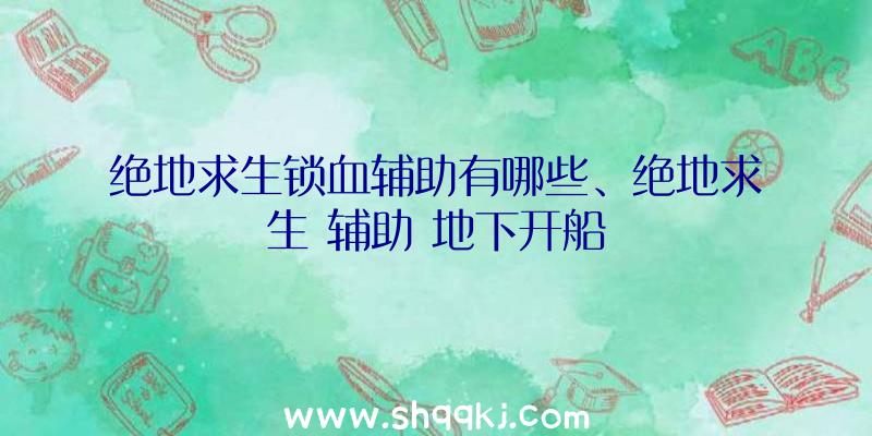 绝地求生锁血辅助有哪些、绝地求生